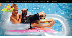 Desktop Screenshot of expertpoolbuilders.com